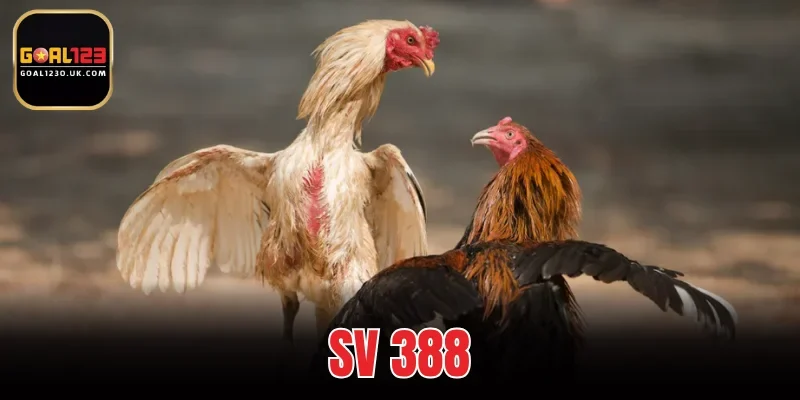 SV 388